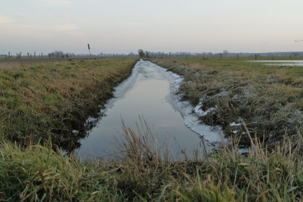 Winter im Moor