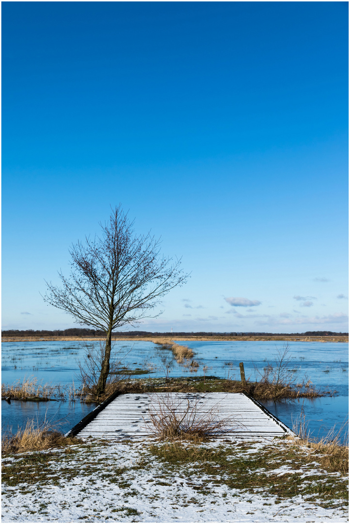 Winter im Moor - eisige Zeiten