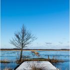 Winter im Moor - eisige Zeiten