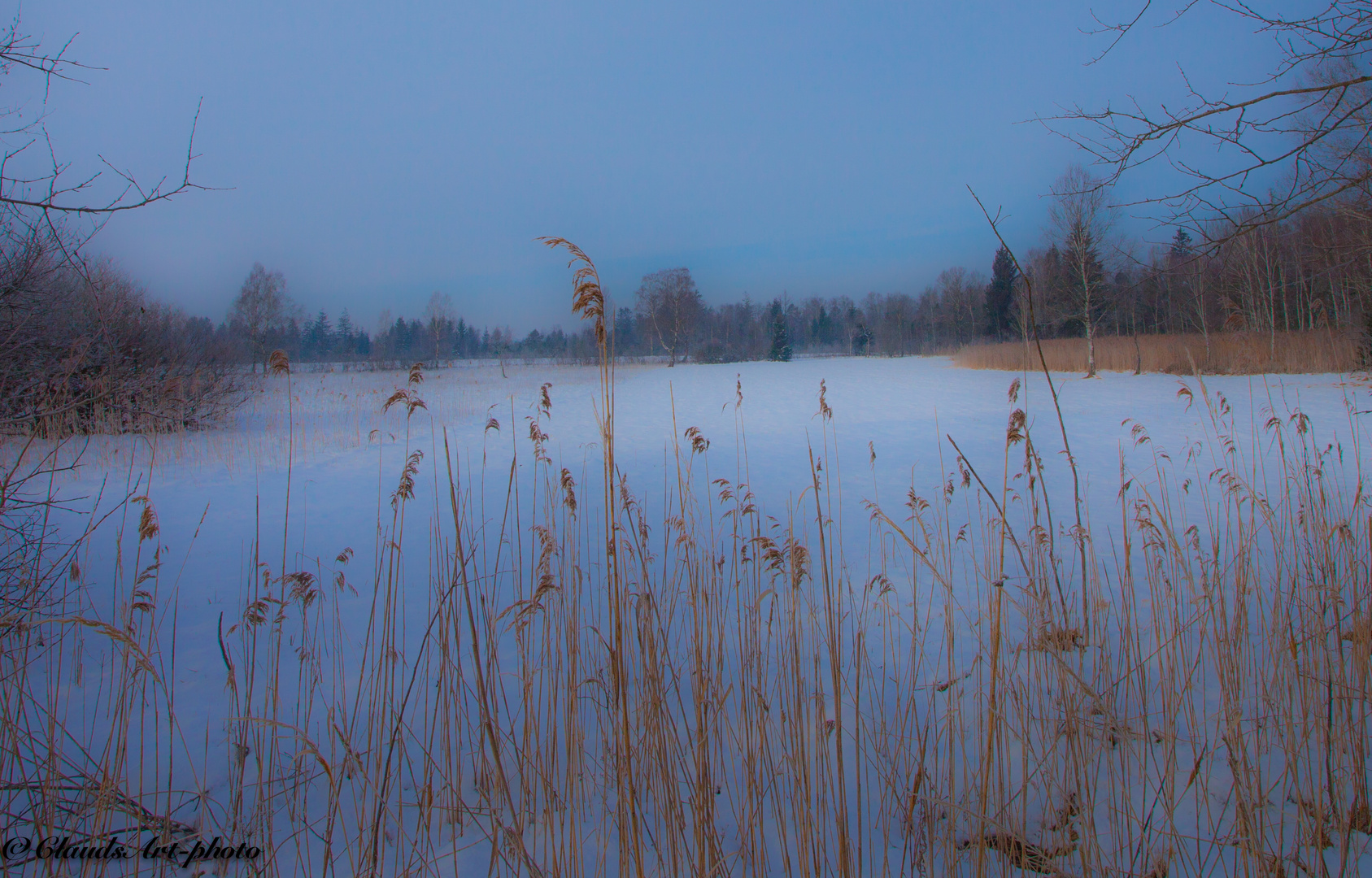 Winter im Moor