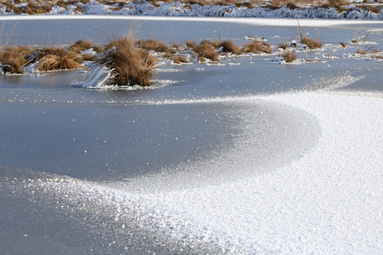 Winter im Moor II