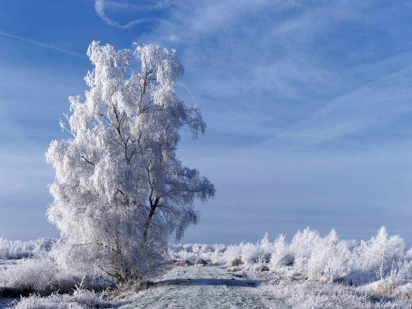 Winter im Moor reload!