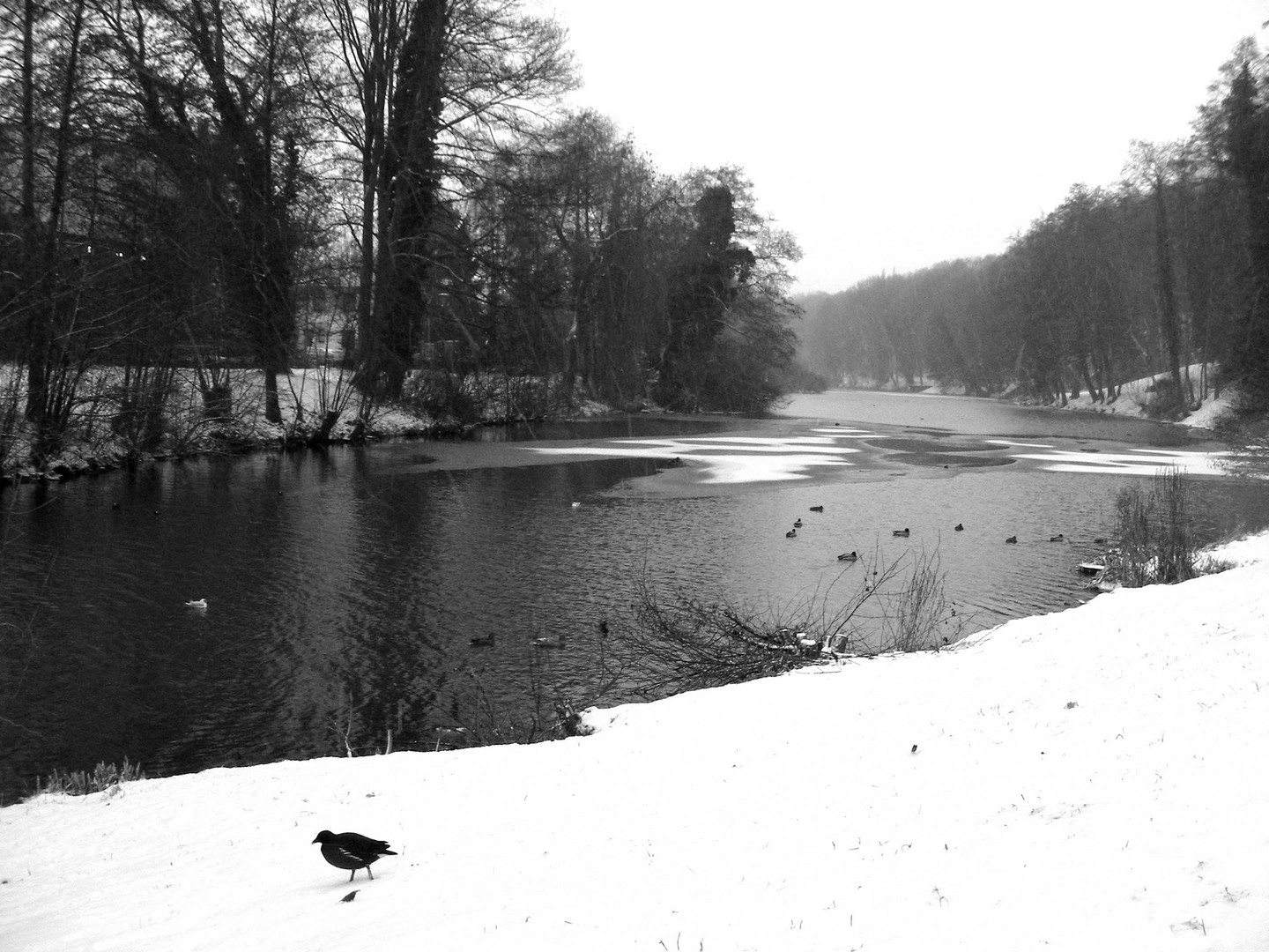 Winter im Moritzpark