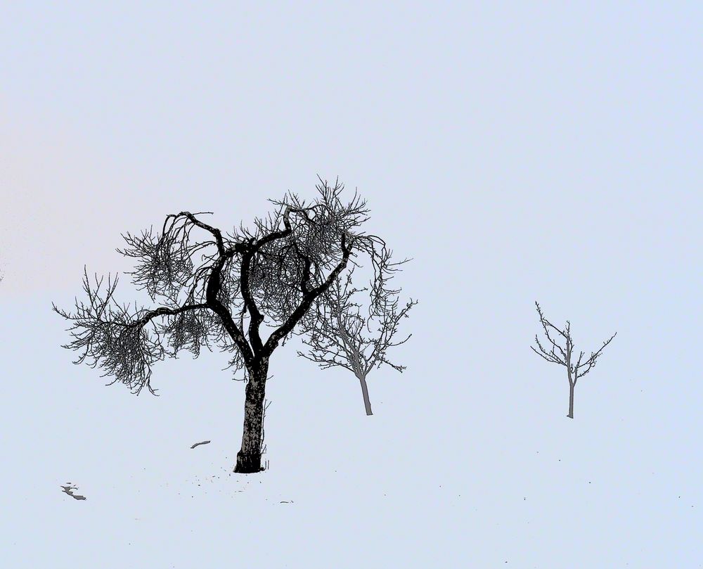 Winter im Mostviertel