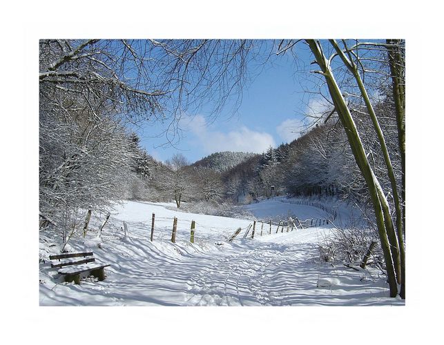 Winter im Mühltal des Naturpark Nordeifel