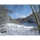 Winter im Mühltal des Naturpark Nordeifel