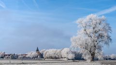 Winter im Münsterland