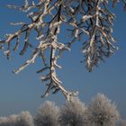 Winter im Münsterland