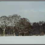 Winter im Münsterland