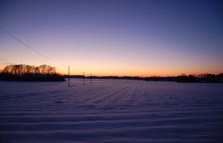 Winter im Münsterland