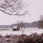 Winter im Münsterland...