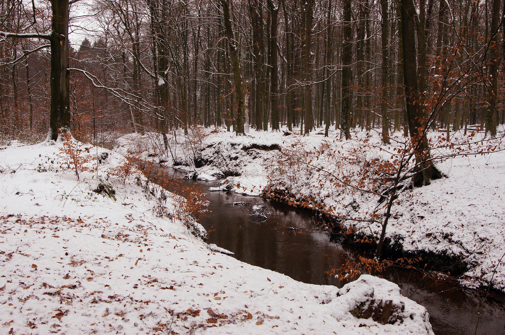 Winter im Münsterland.