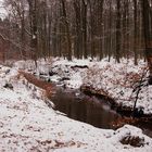 Winter im Münsterland.