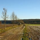 Winter im Münsterland.