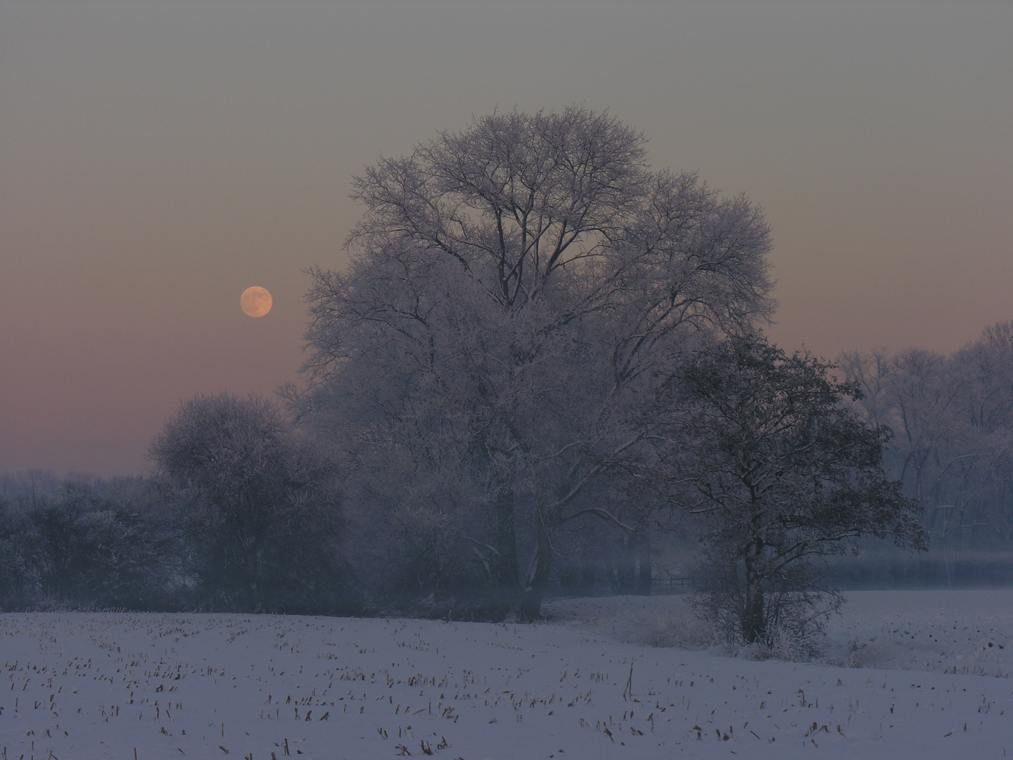 Winter im Münsterland