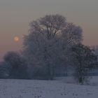 Winter im Münsterland