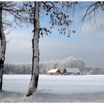 Winter im Münsterland