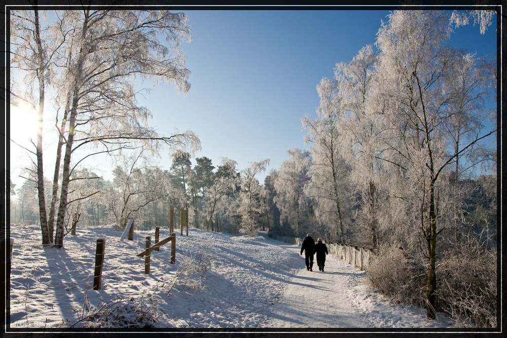 Winter im Münsterland