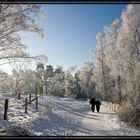 Winter im Münsterland