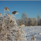 Winter im Muldental