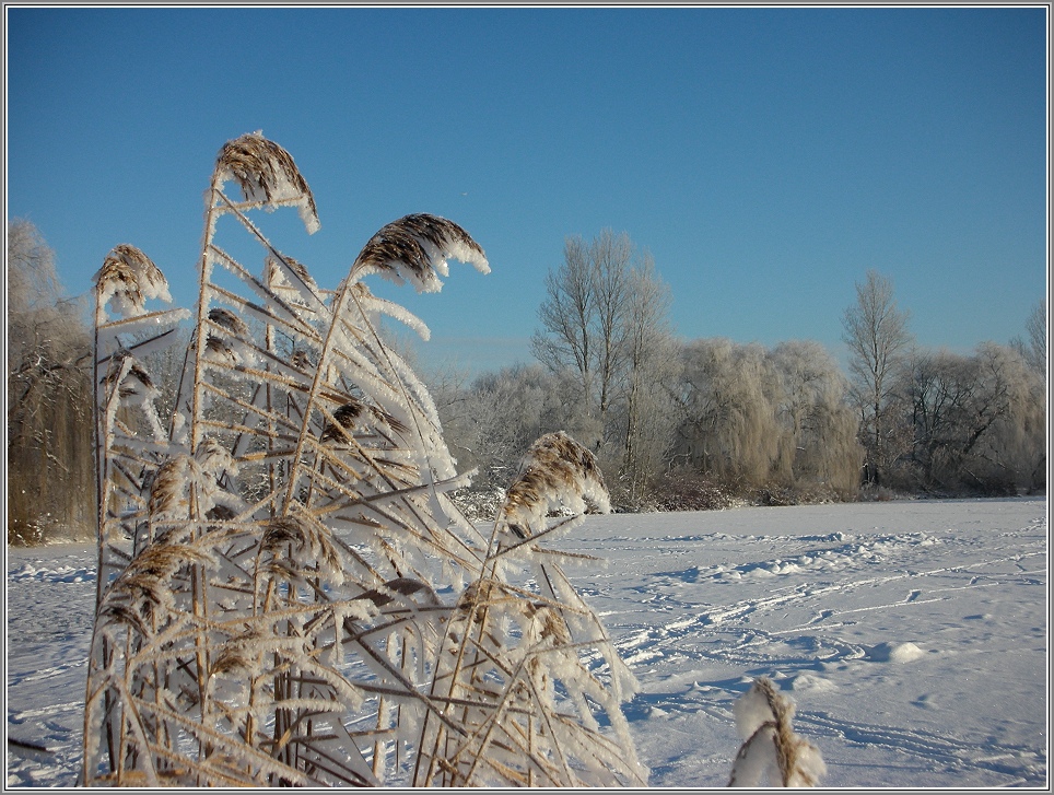 Winter im Muldental