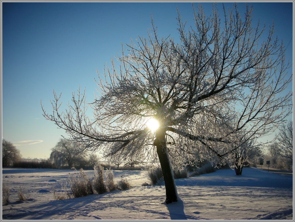 Winter im Muldental