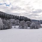 Winter im Mullerthal