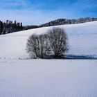 Winter im Murgtal