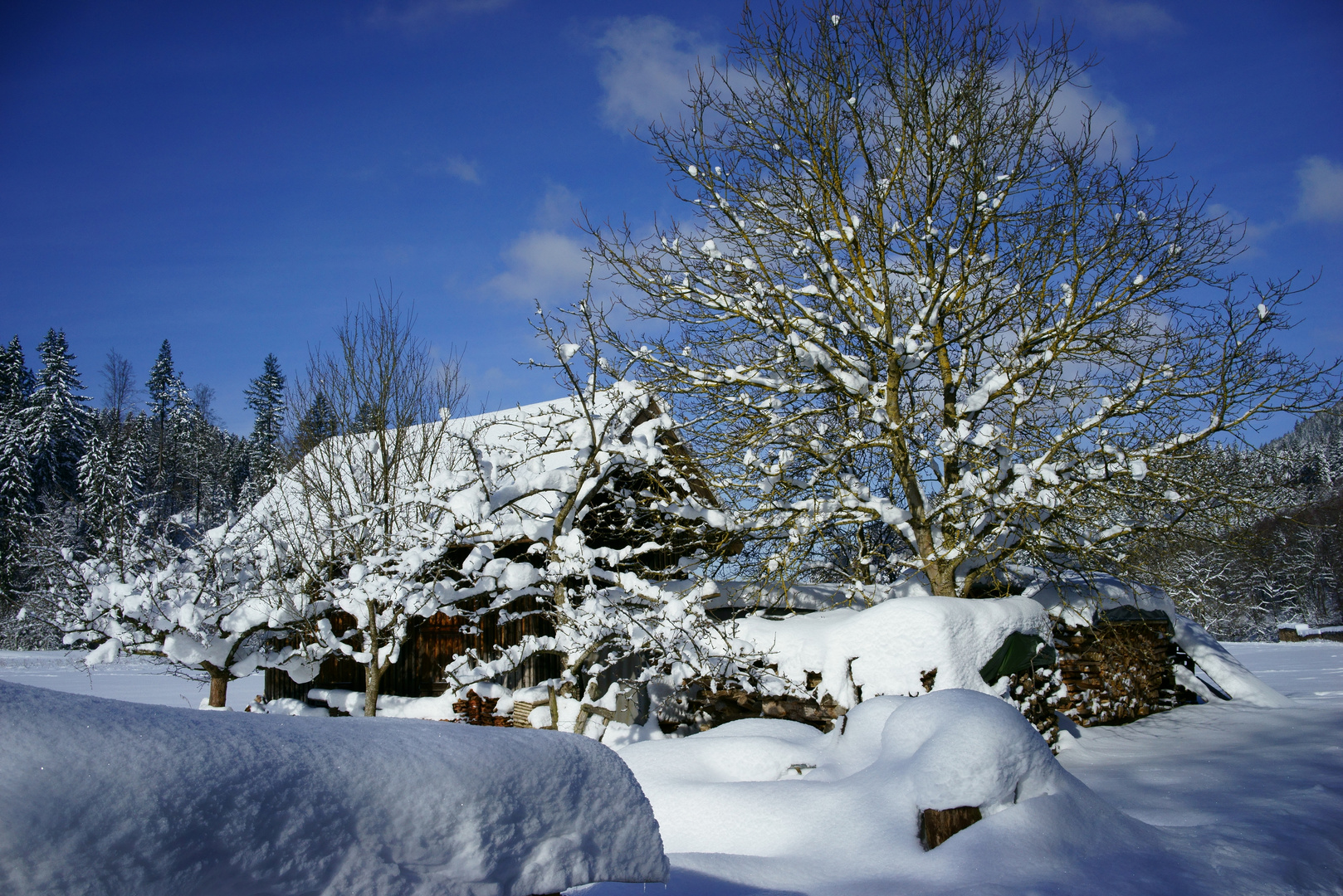 Winter im Murgtal bei Klosterreichenbach