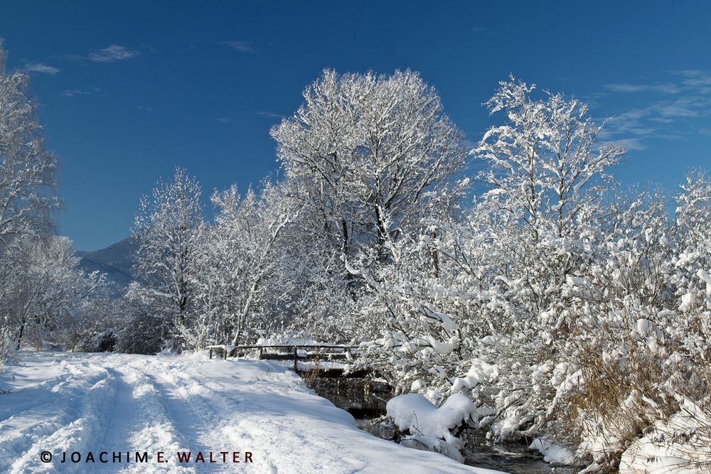 Winter im Murnauer Moos