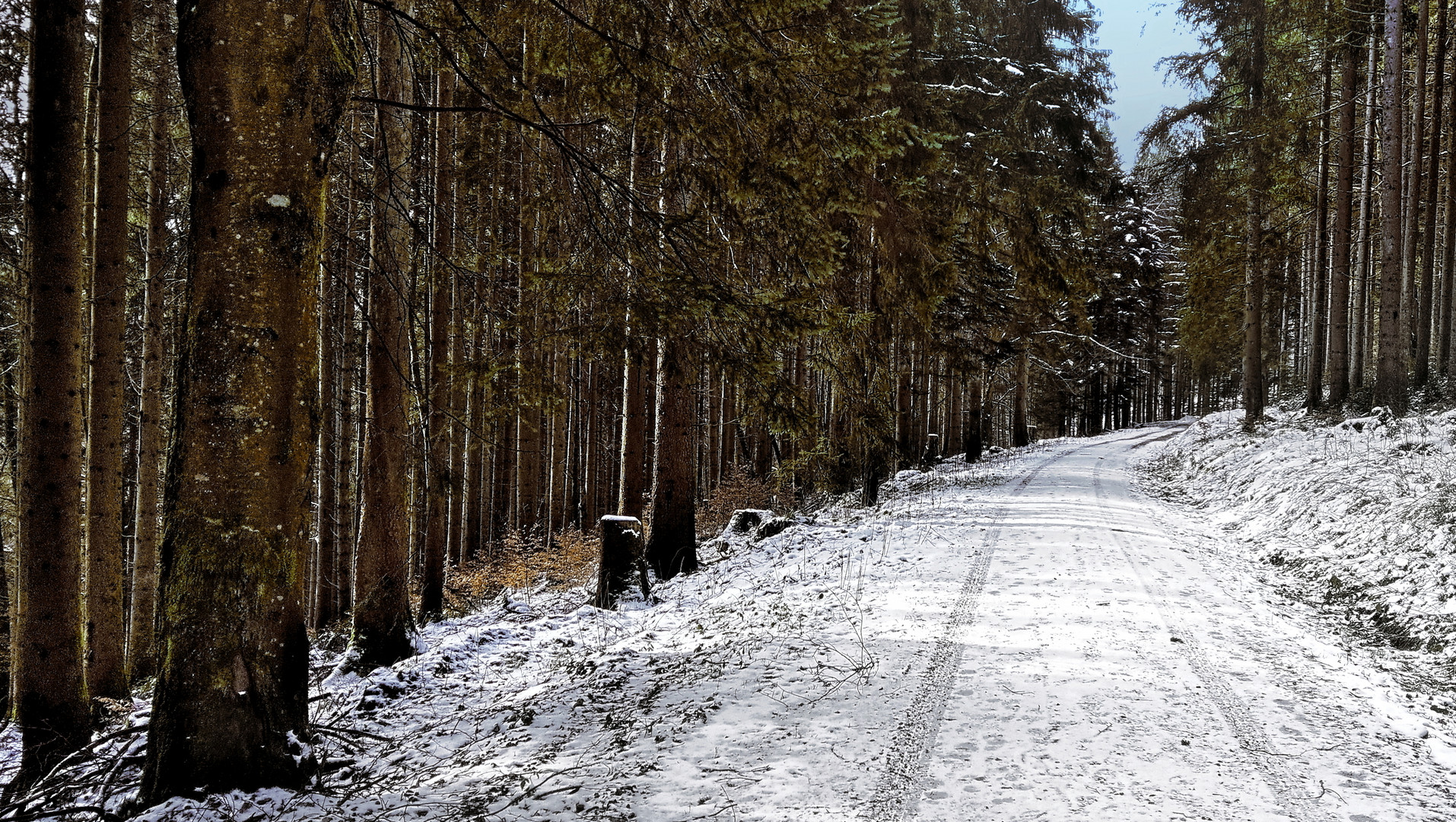 Winter im Nationalpark Schwarzwald