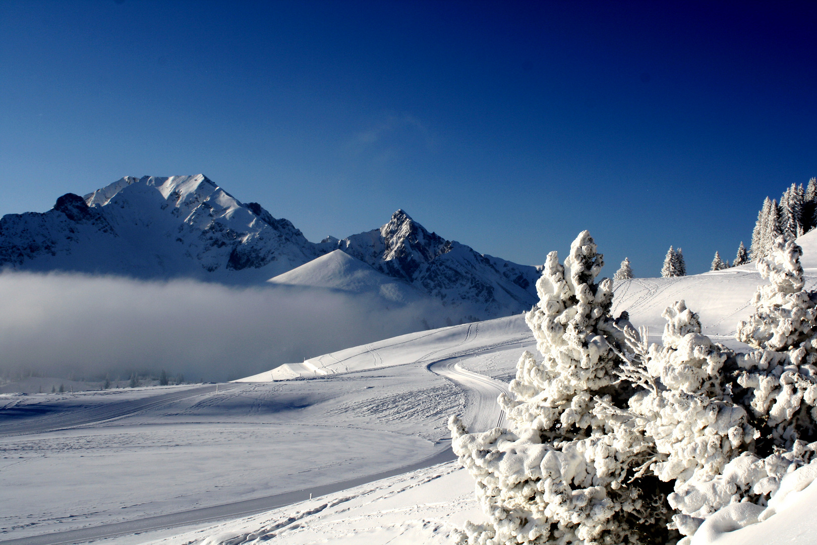 Winter im Naturpark Gantrisch 2012