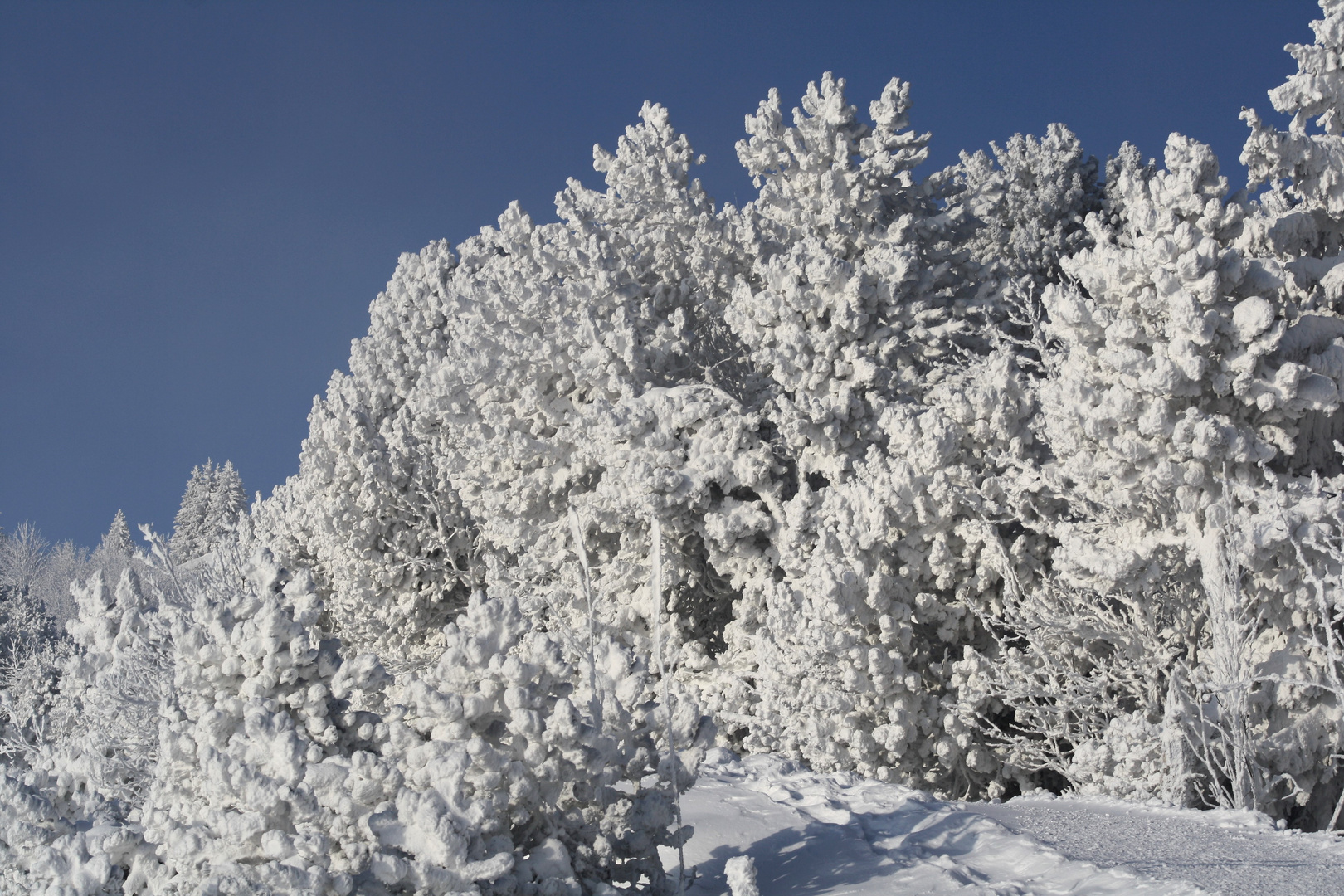 Winter im Naturpark Gantrisch 2012