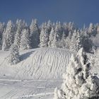 Winter im Naturpark Gantrisch 2012