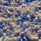 Winter im Naturpark Hoher Vogelsberg 4