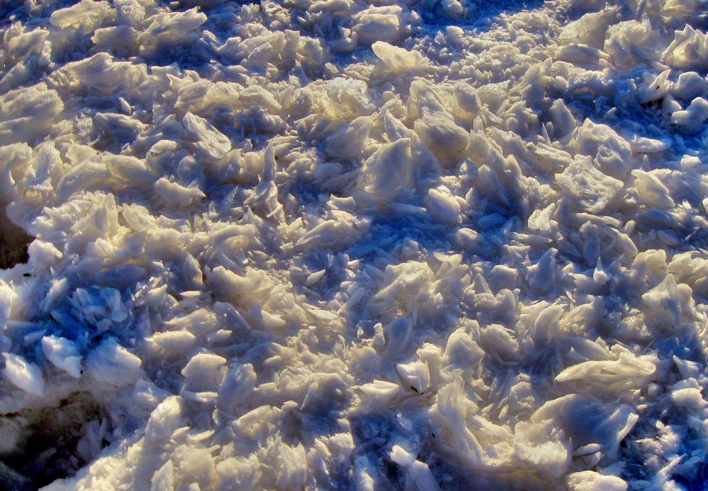 Winter im Naturpark Hoher Vogelsberg 4