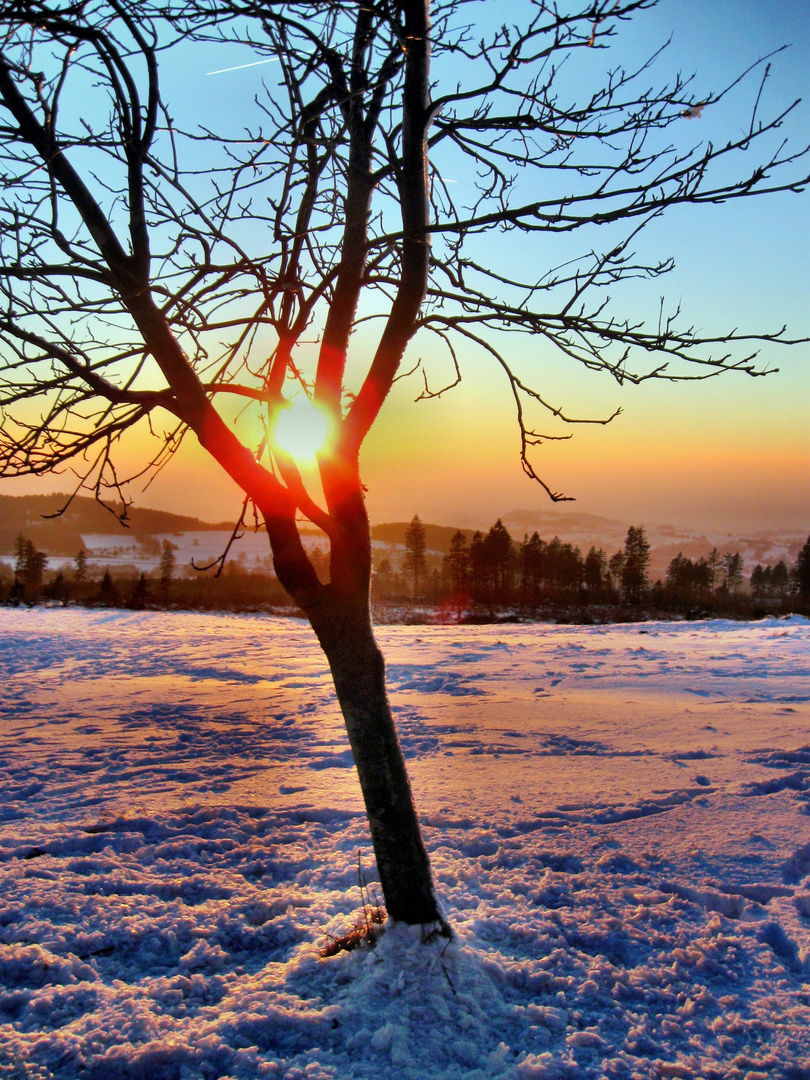 Winter im Naturpark Hoher Vogelsberg 5