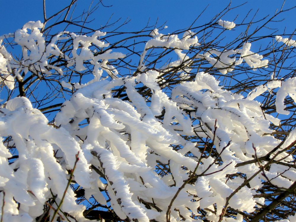 Winter im Naturpark Hoher Vogelsberg