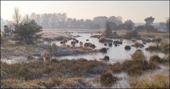 Winter im Naturpark Kampina