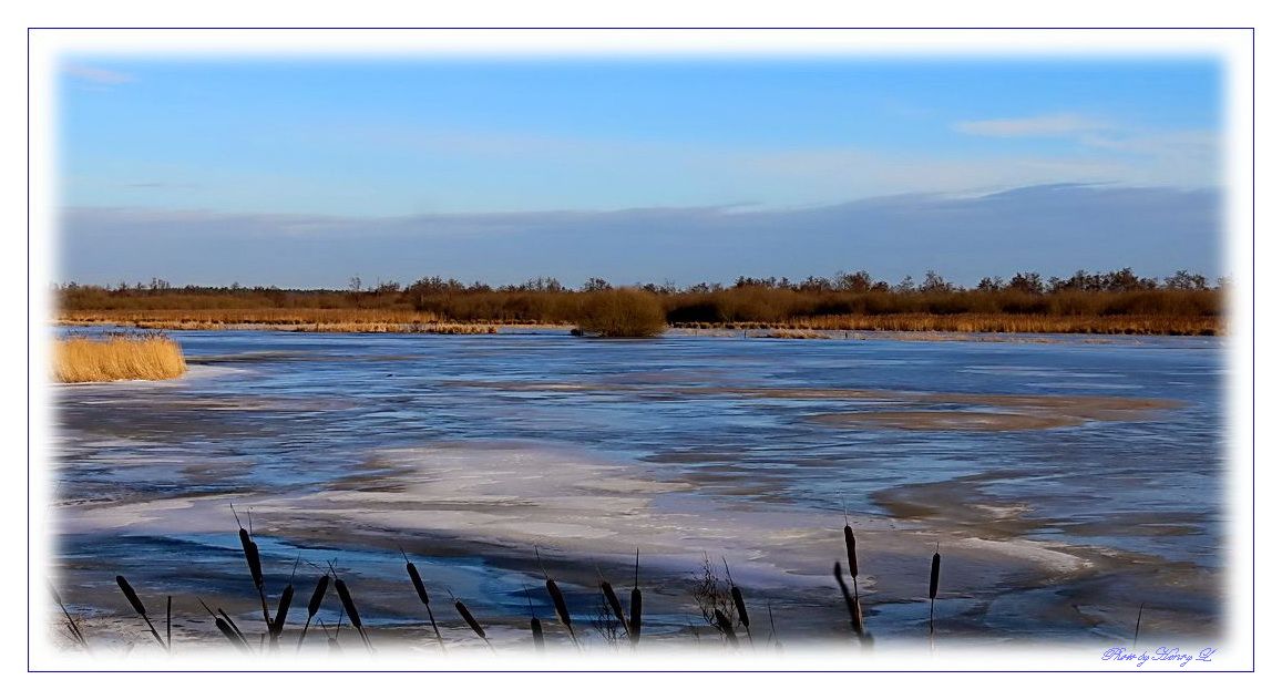 Winter im Naturpark Steinhuder Meer