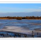 Winter im Naturpark Steinhuder Meer