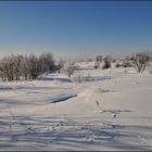 Winter im Naturschutz..... 