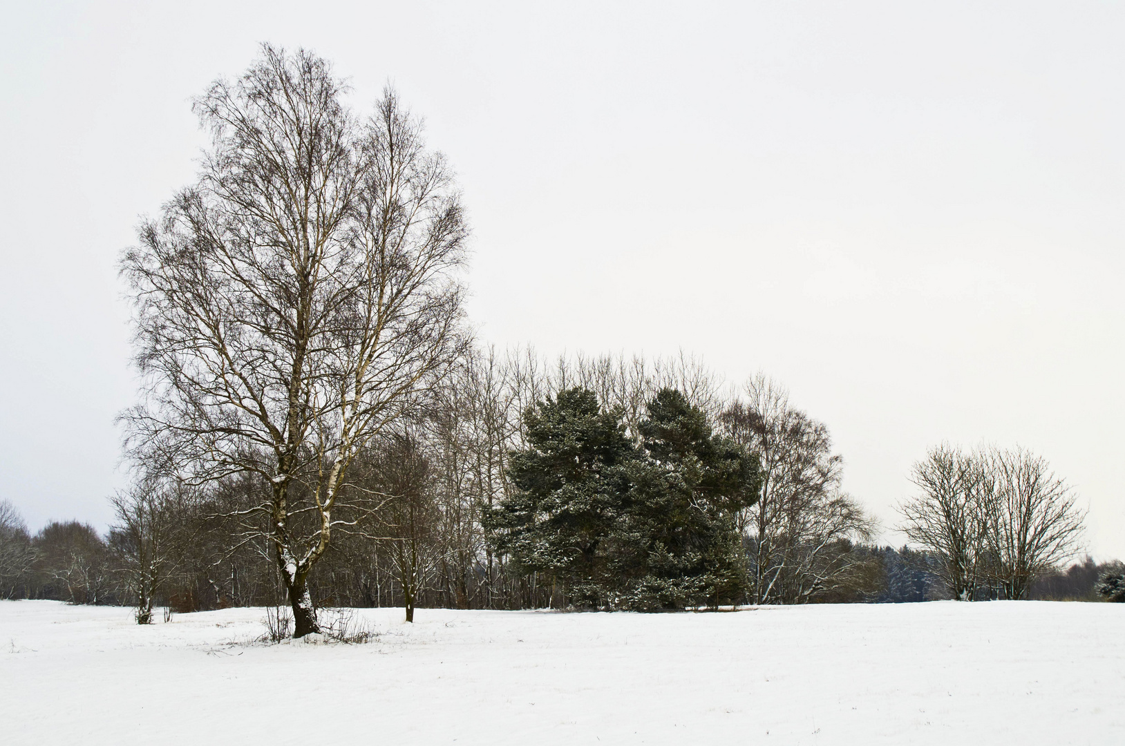 Winter im Naturschutzgebiet