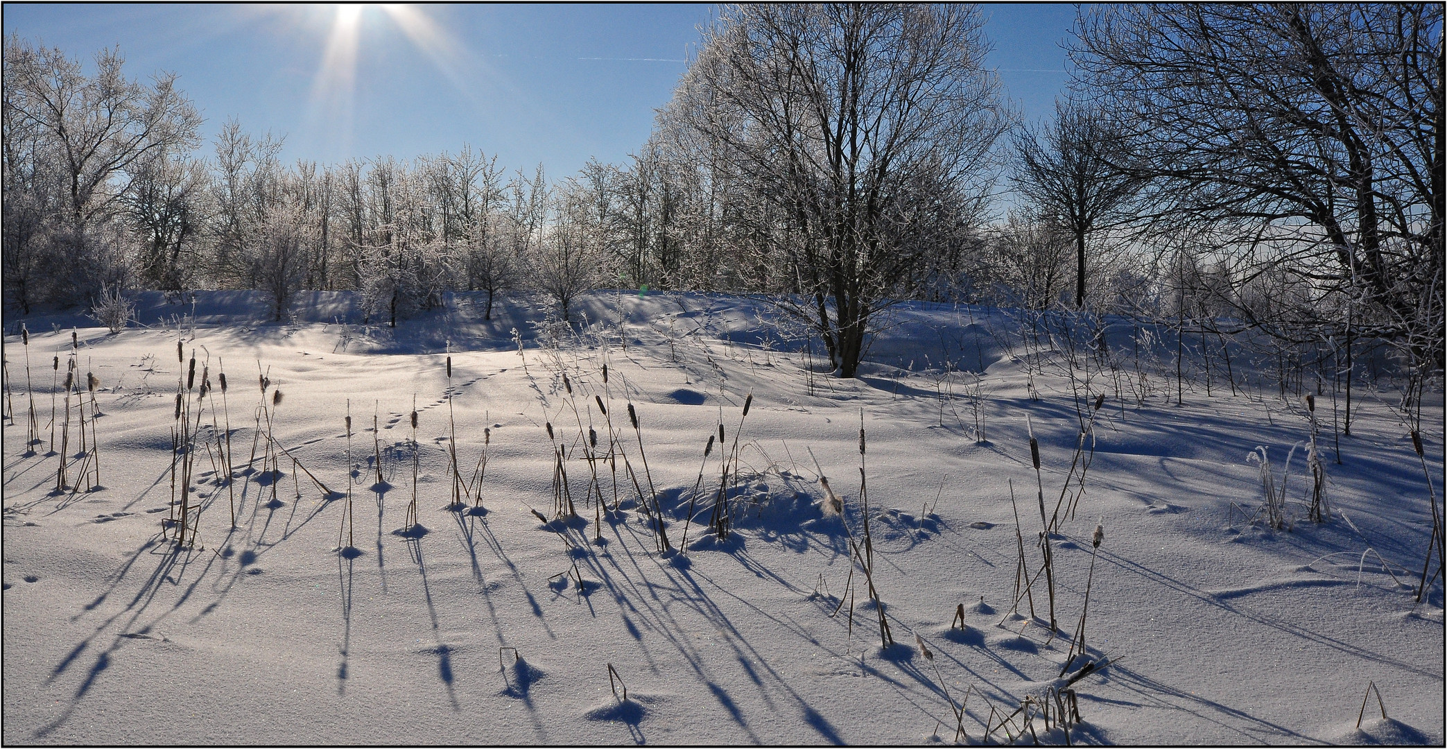 Winter im Naturschutzgebiet.....