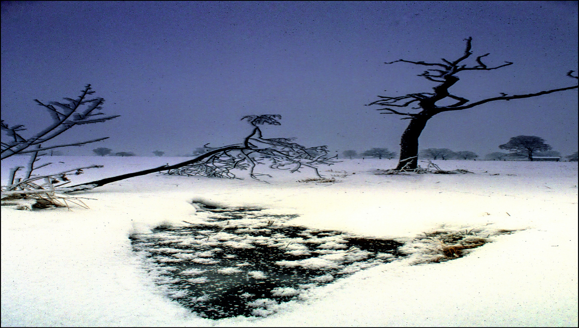 Winter im Naturschutzgebiet 