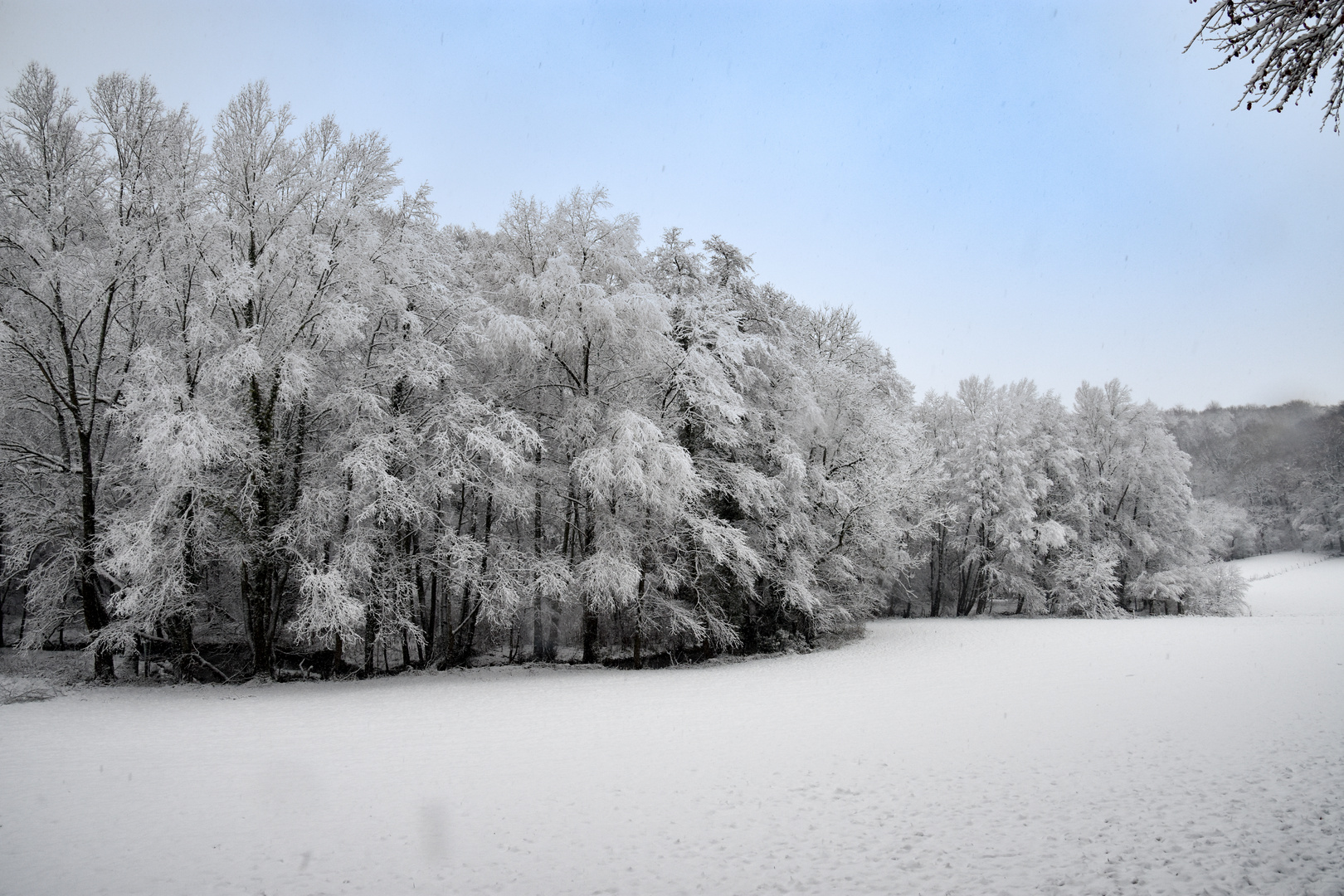 Winter im Neandertal