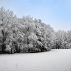 Winter im Neandertal