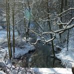 Winter im Neandertal