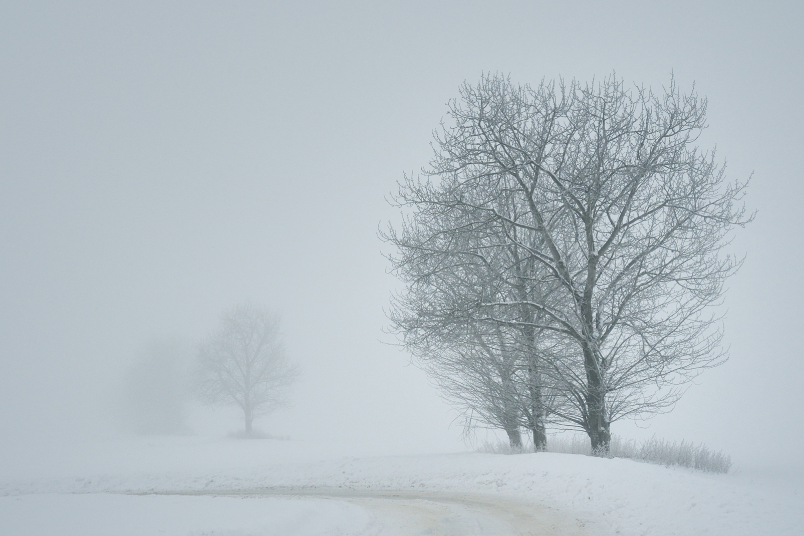 Winter im Nebel