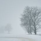 Winter im Nebel